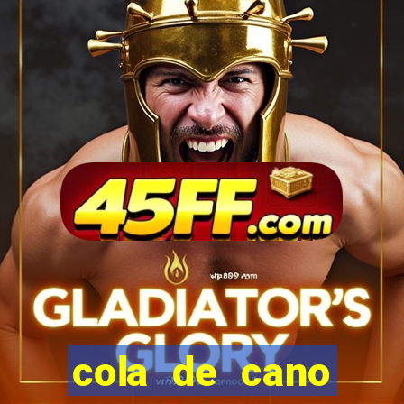 cola de cano quanto tempo para secar